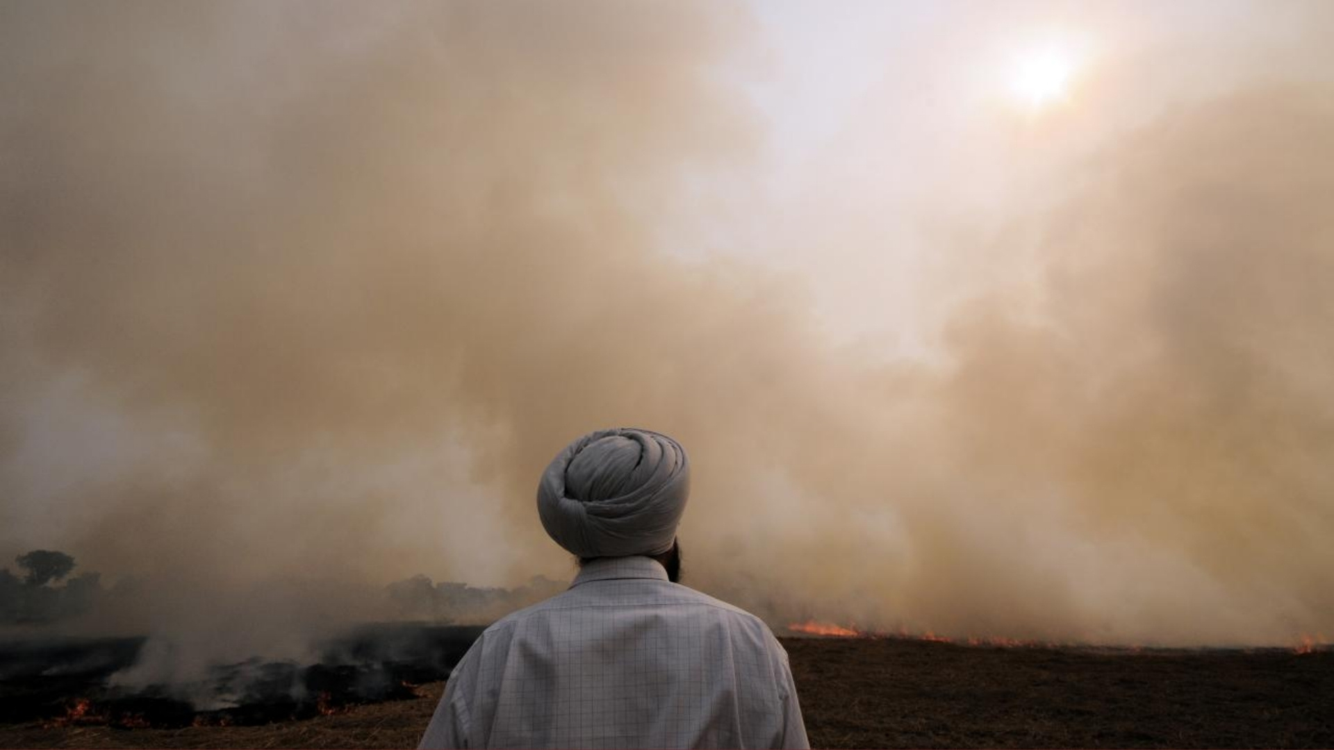Photo by: Neil Palmer / CIAT