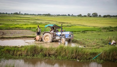 Highlights from the new census: The shifts in Nepal’s agriculture landscape
